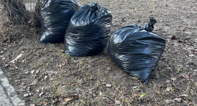 Депутаты Вологодской области приняли участие в уборке берегов Содемы 