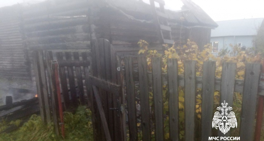 В Вологодской области хозяин бани пострадал, пытаясь укротить пламя