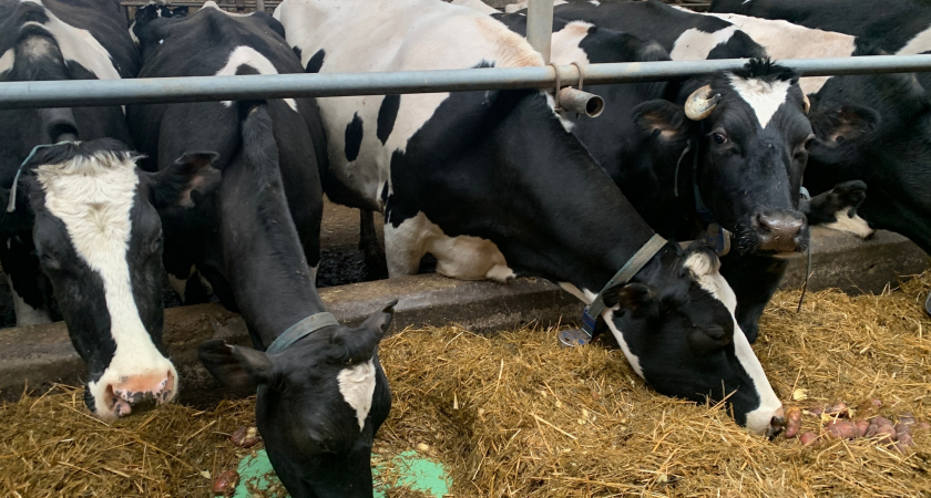 Вологодская пищевая промышленность демонстрирует рост