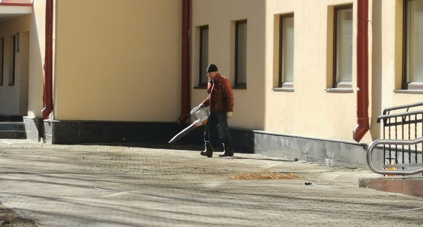 В Вологде организовали масштабную уборку листвы