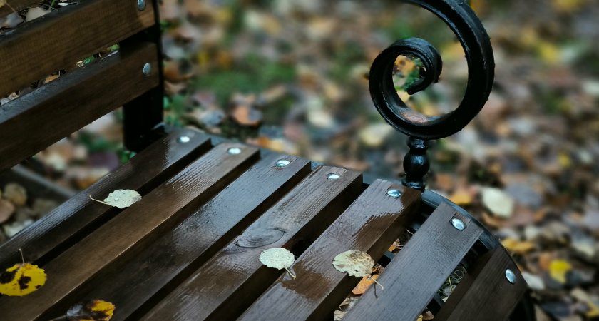 Вологжане выразили сомнения в уместности установки скамеек возле оживленной автомагистрали