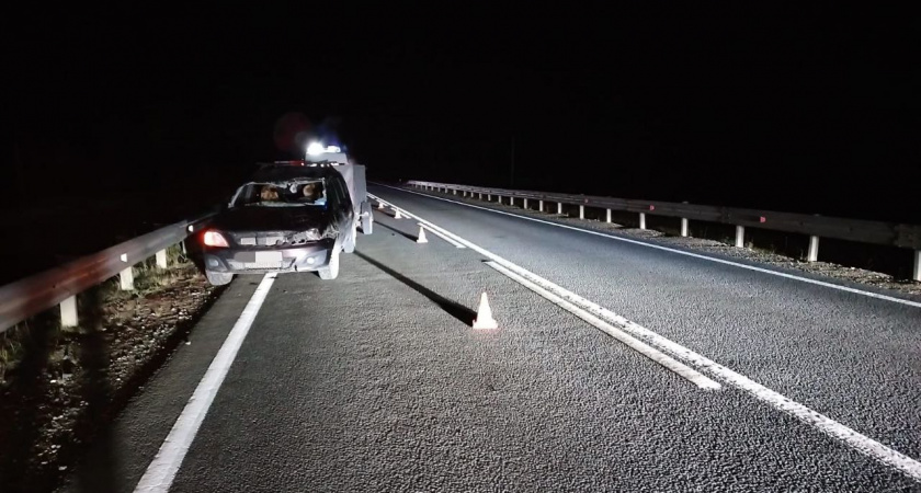 Лось стал жертвой ДТП на трассе в Вологодской области