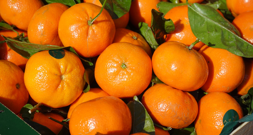 Откуда на цитрусовых появились знаменитые наклейки ромбиком и почему за них можно было получить пожизненный срок