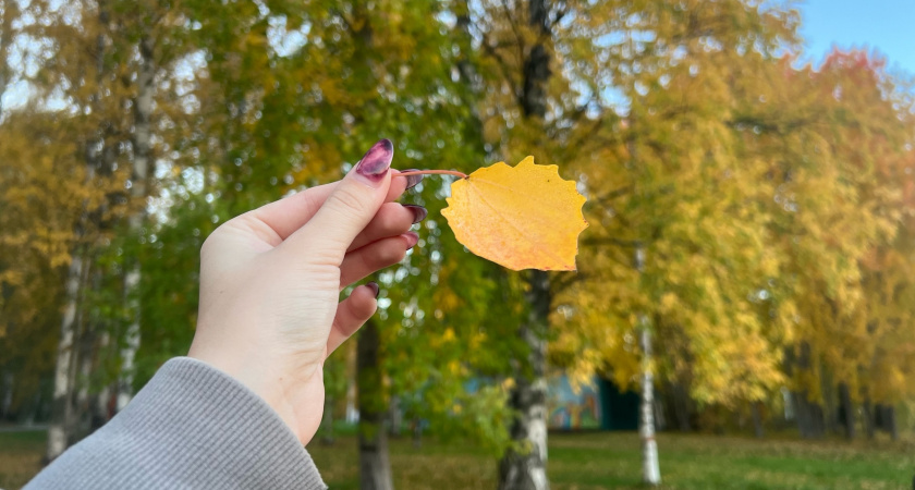 Вологодскую область 24 октября накроют туманы и осенние холода