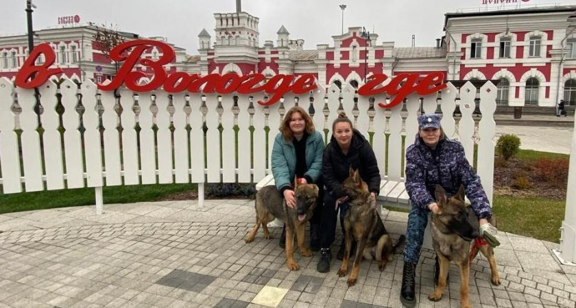 Четвероногие сотрудники пополнили кинологические подразделения УФСИН Вологодской области 