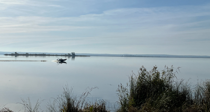 Житель Архангельской области утонул в озере на Вологодчине 