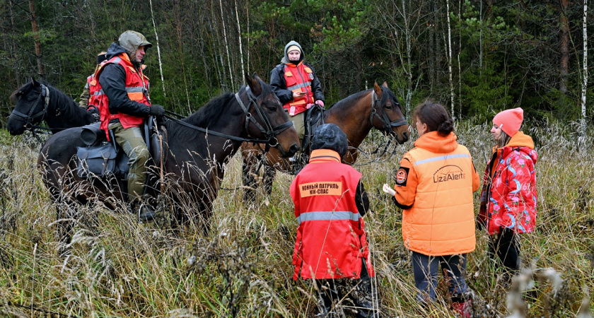 Масштабные учения по поиску людей объединили около 100 добровольцев в Вологодской области 