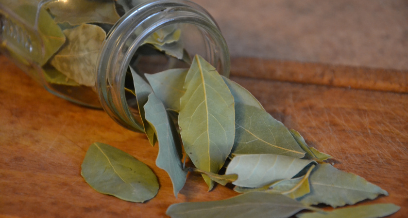 Лавровый лист засыпаю солью — весь октябрь пользуюсь простым и полезным лайфхаком