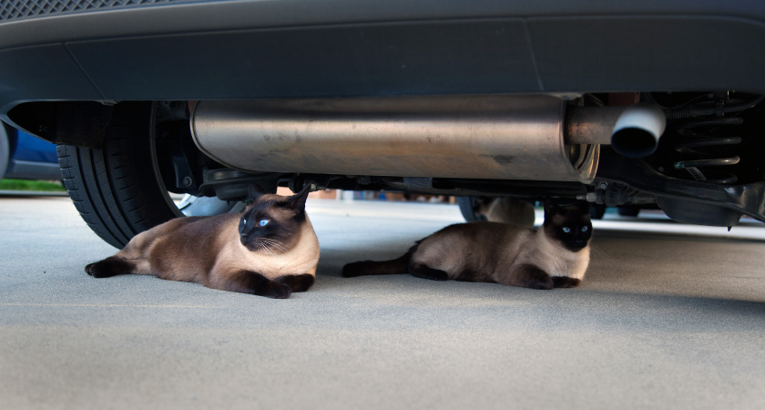 Нужно ли сверлить глушитель на своём автомобиле: ставим точку в вечном споре