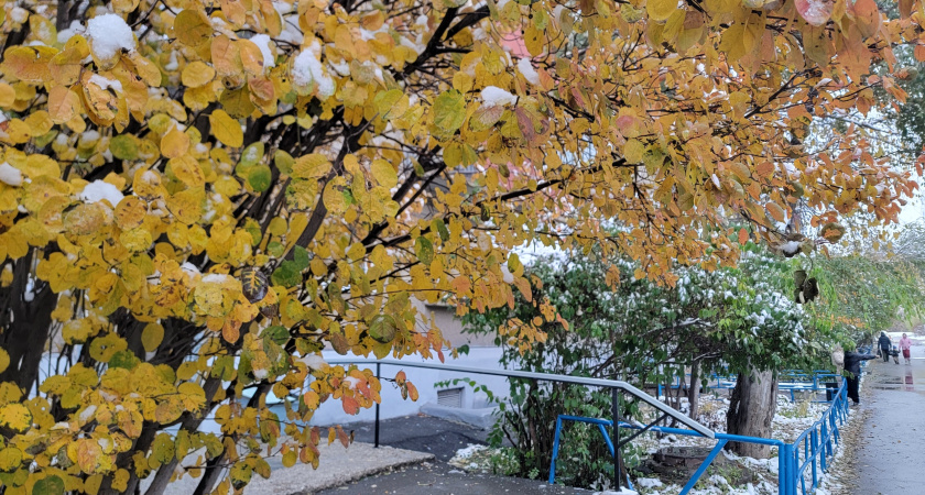 На Вологодскую область в конце октября обрушилась осенняя оттепель