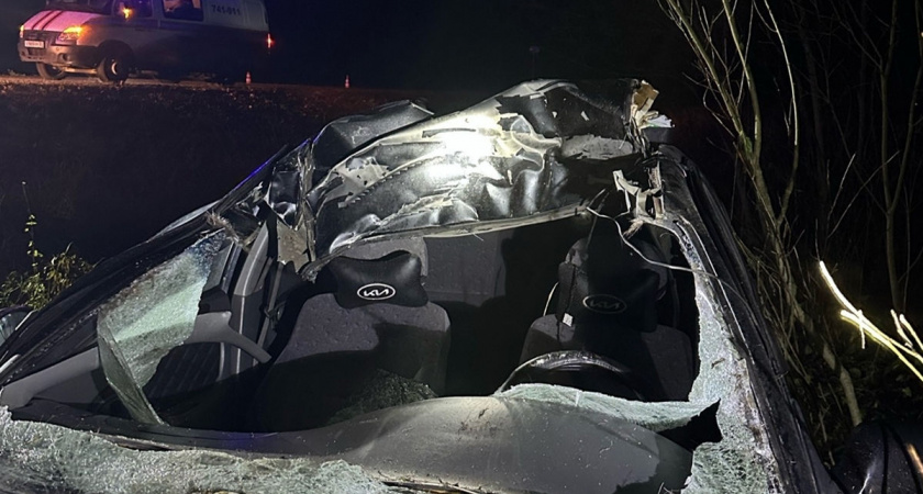 Легковой автомобиль насмерть сбил лося в Вологодской области