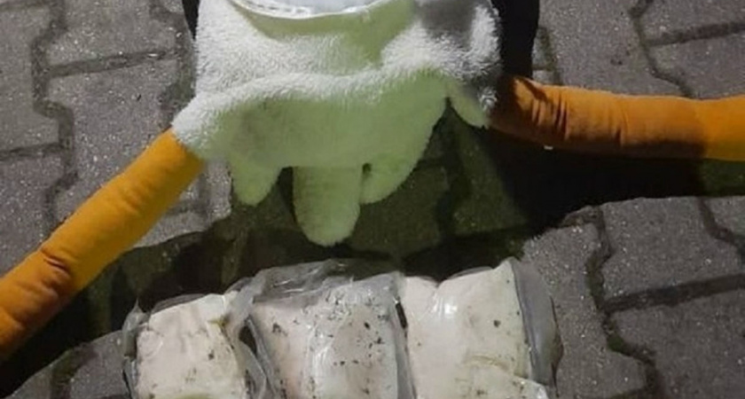 Курьер вез в Вологодскую область почти 1,5 килограмма наркотиков, спрятанных в плюшевого гуся