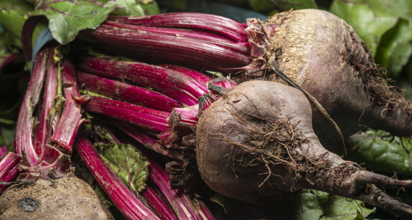 Не сгниет и не скукожится: как хранить морковь и свеклу зимой: 4 совета от агронома Гуляевой