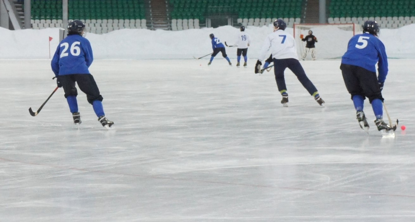 В Вологодской области определили сильнейших юных хоккеистов региона