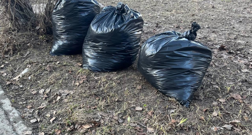 Жители Вологодской области собрали рекордное количество мусора на осенних субботниках