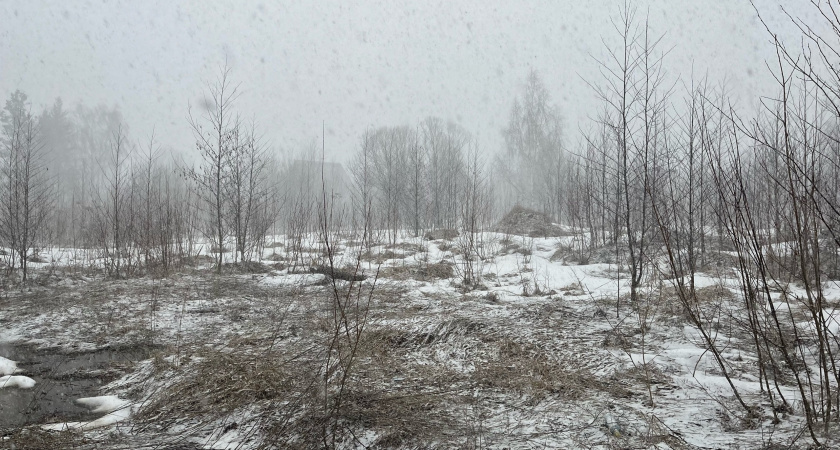 4 ноября Вологодскую область ждут дожди, снег и гололед