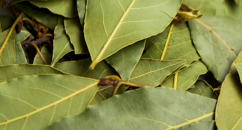 Лавровый лист засыпаю солью — весь ноябрь не нарадуюсь своей находчивости: полезный лайфхак для всех домохозяек