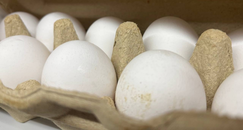 Купил в "Чижике" яйца за 69 рублей — только дома осознал, какие они — рассказываю честно