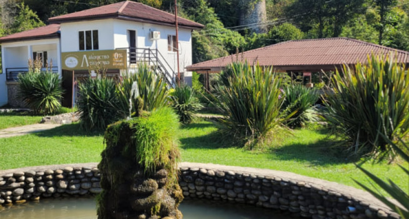 Курорт победившего обдиралова: море чистое, горы высокие, но люди оставляют желать лучшего. 5 ложек дёгтя в бочке мёда Абхазии