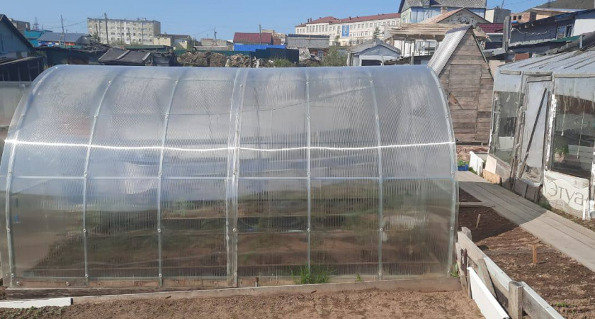 В ноябре лить в теплицу - обязательно: вся зараза исчезнет за зиму. Средство из СССР обеспечит здоровый урожай