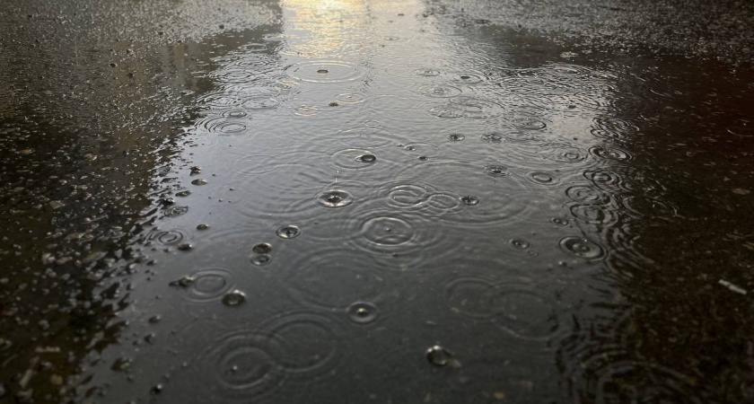 Вологодскую область 9 ноября накроют осадки и туман