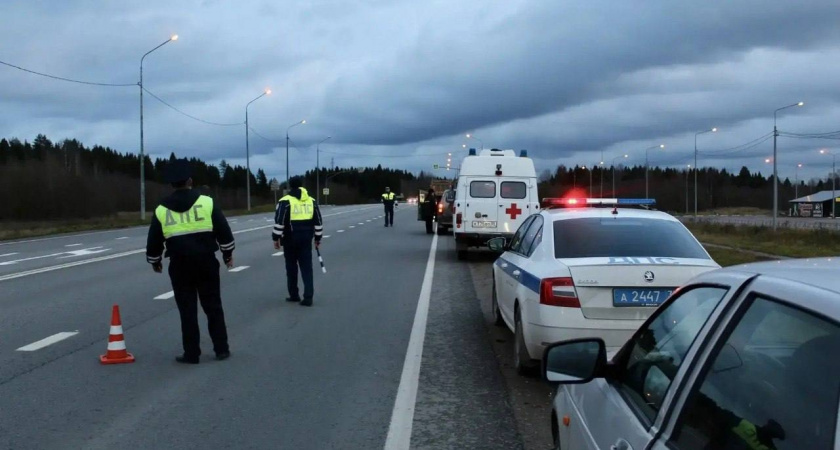 В Вологодской области за выходные выявили 43 нетрезвых водителя