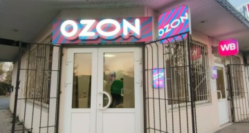 Создаём стильные образы с ограниченным бюджетом на Wildberries и Ozon. Мои покупки с примеркой