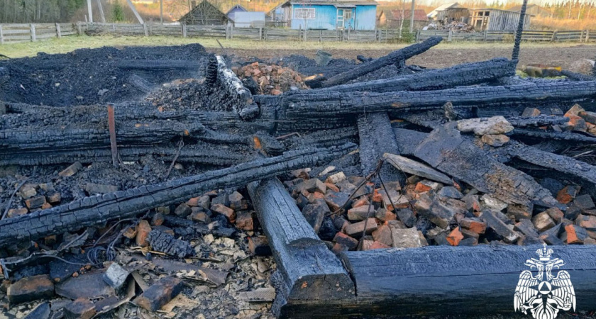 В Вологодской области при пожаре в частном доме погибли мать и сын