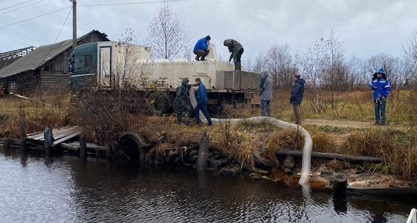 Более 67 тысяч мальков сига выпустили в реку в Вологодской области 