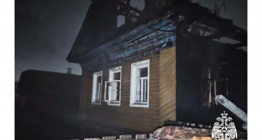 В Вологодской области у двух братьев ночью в Вологодской области сгорела дача