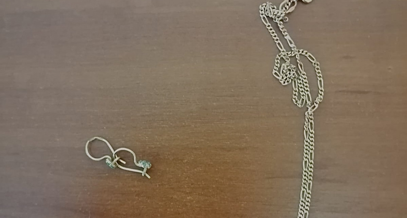 Потенциальный арендатор из Вологодской области обвиняется в краже золотых украшений