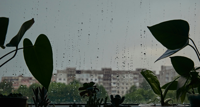 Настоящая погодная перезагрузка: синоптики пообещали, дождь, аномальное тепло и снегопады