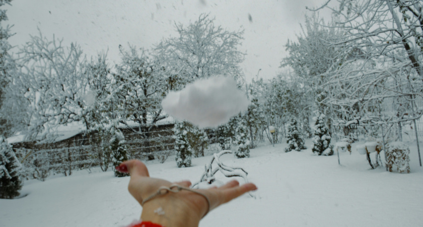 Ноябрьский сюрприз: жителей Центральной России ждёт тёплая погода - точный прогноз на последний месяц осени