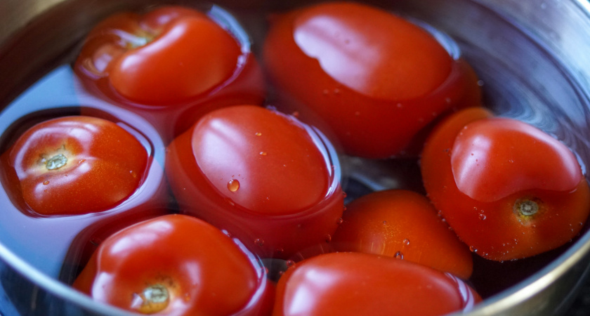 Лучшие сорта мясистых и сладких томатов: шесть вариантов на новый сезон