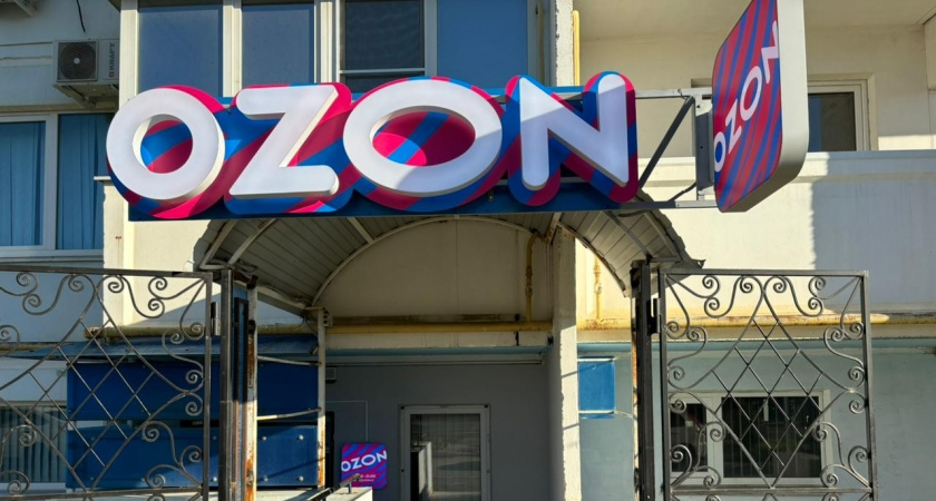 Одеваемся стильно и экономно с помощью ВБ и Ozon. Мои покупки с примеркой