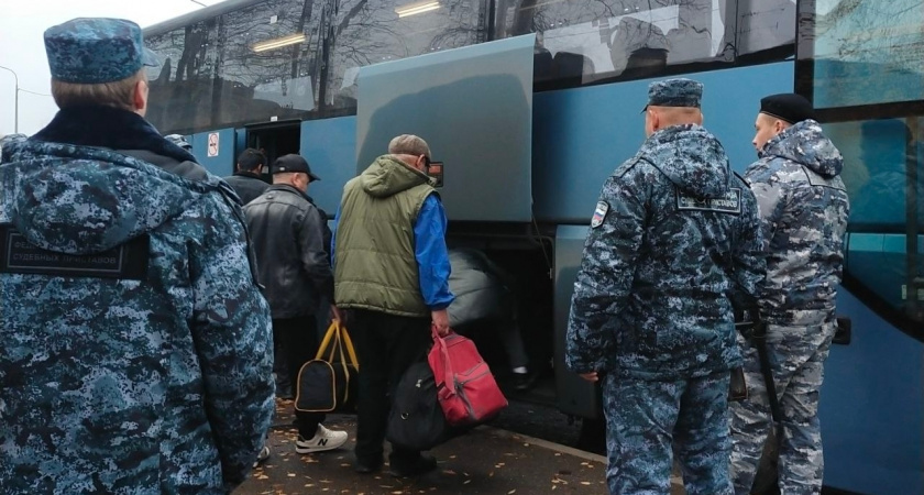 176 иностранных мигрантов покинули Вологодскую область по решению суда