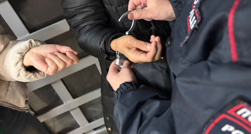 Пятеро нелегальных мигрантов будут депортированы из Вологодской области