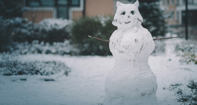 Настоящее испытание: какой будет погода в России в ноябре