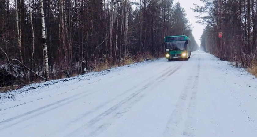 В Вологодской области на зимний период пустят дополнительный автобус до причалов