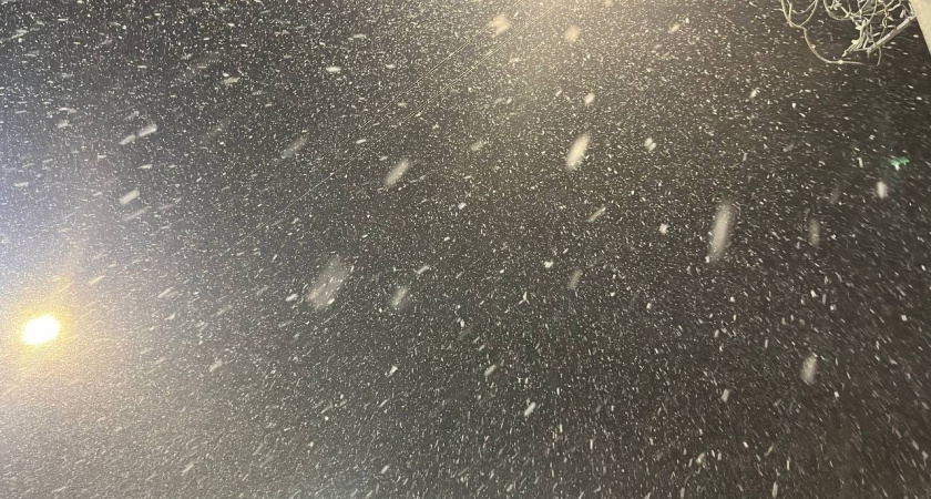 Погода в Вологодской области до конца ноября останется неустойчивой