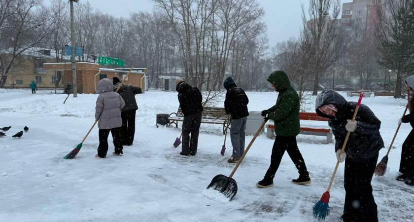 В Вологде молодежь подключилась в уборке города от снега