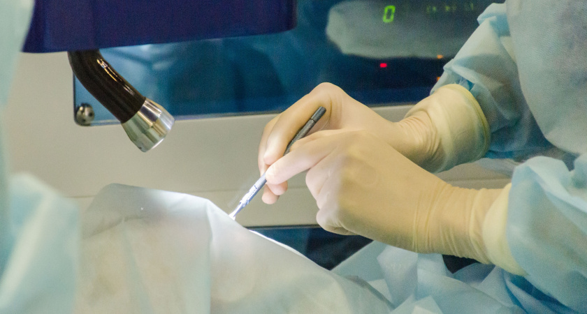 Вологодские врачи спасли собаку с огромными камнями в мочевом пузыре