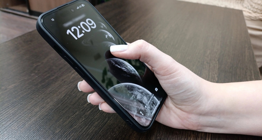 Приложением "Вологодский городовой" пользуются более четырех тысяч жителей региона