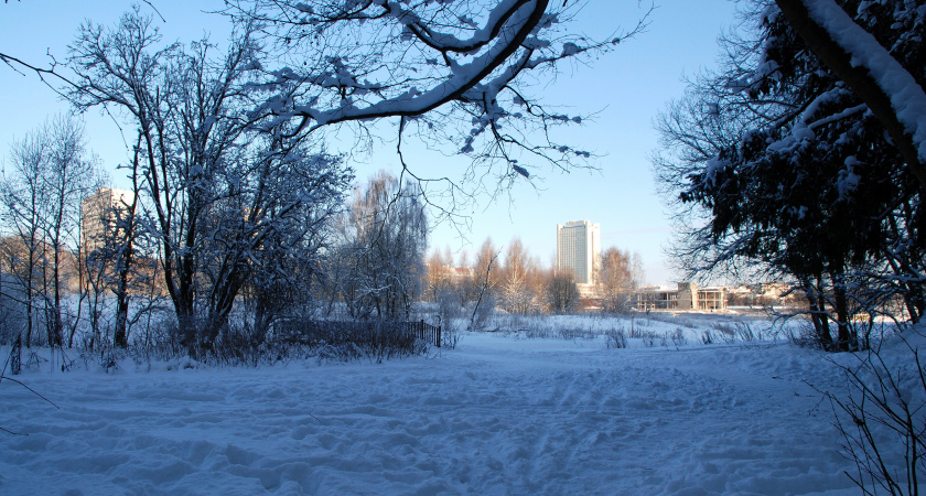 Декабрьский сюрприз: жителей Центральной России ожидает необычно тёплая погода - подробный прогноз на перввый месяц зимы