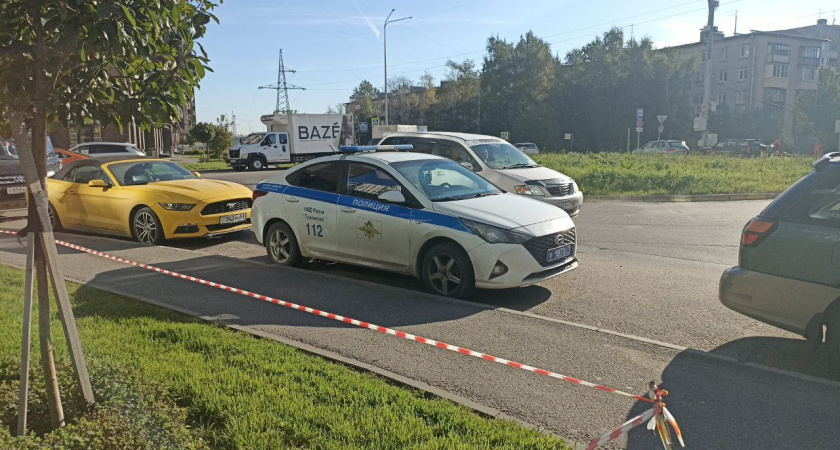 Что за Приказ №264 ГИБДД и почему его необходимо знать водителям