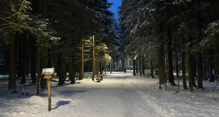 В Вологодской области ожидается капризная оттепель и гололедица