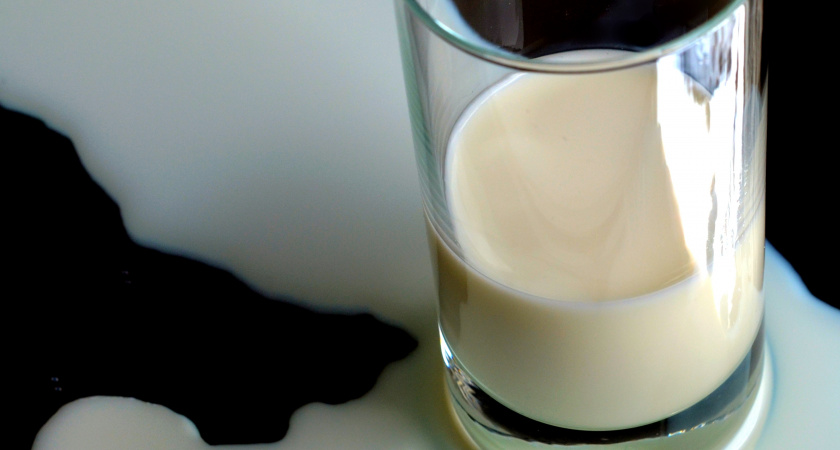Как выбрать натуральное молоко и избежать подделки в магазине