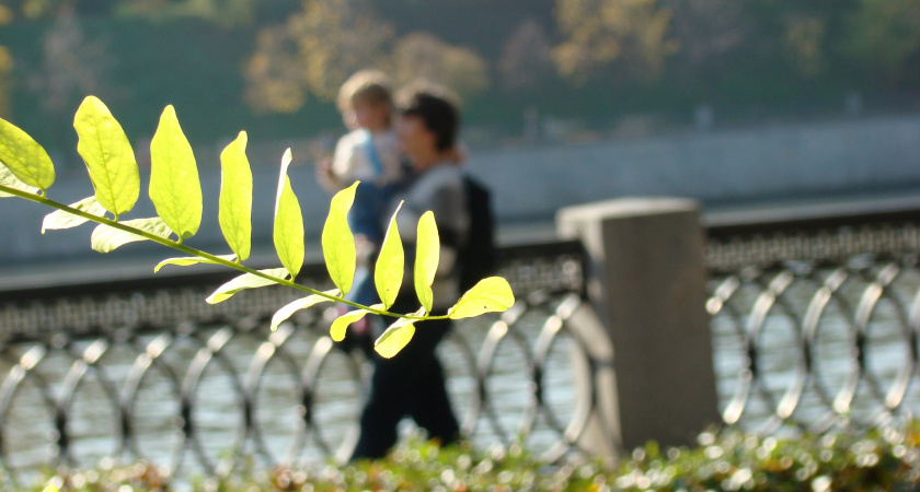 Будет тепло, как на курорте: назвали регионы России, где столбики термометров моментально взлетят - погода удивит
