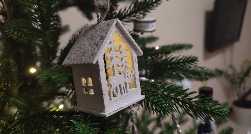 Жительница Вологодской области подарила себе на день рождения украденные елочные украшения