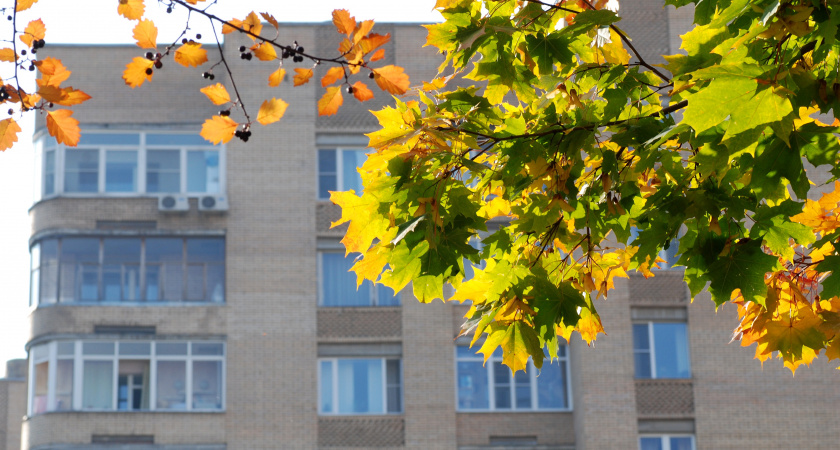 Снега не будет вовсе: Вильфанд поделился прогнозом для жителей Центральной России
